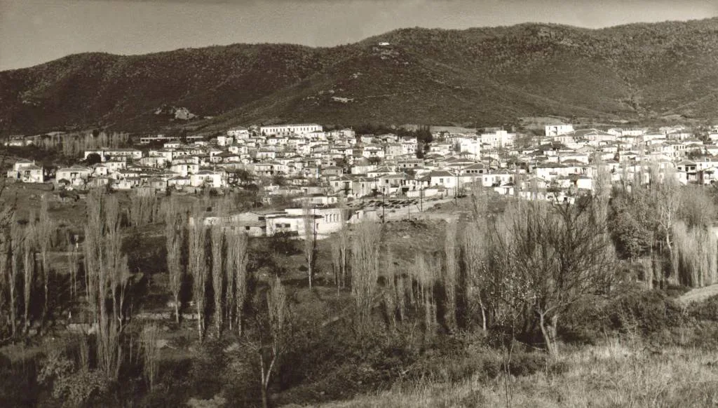 Φωτογραφία αρχείου